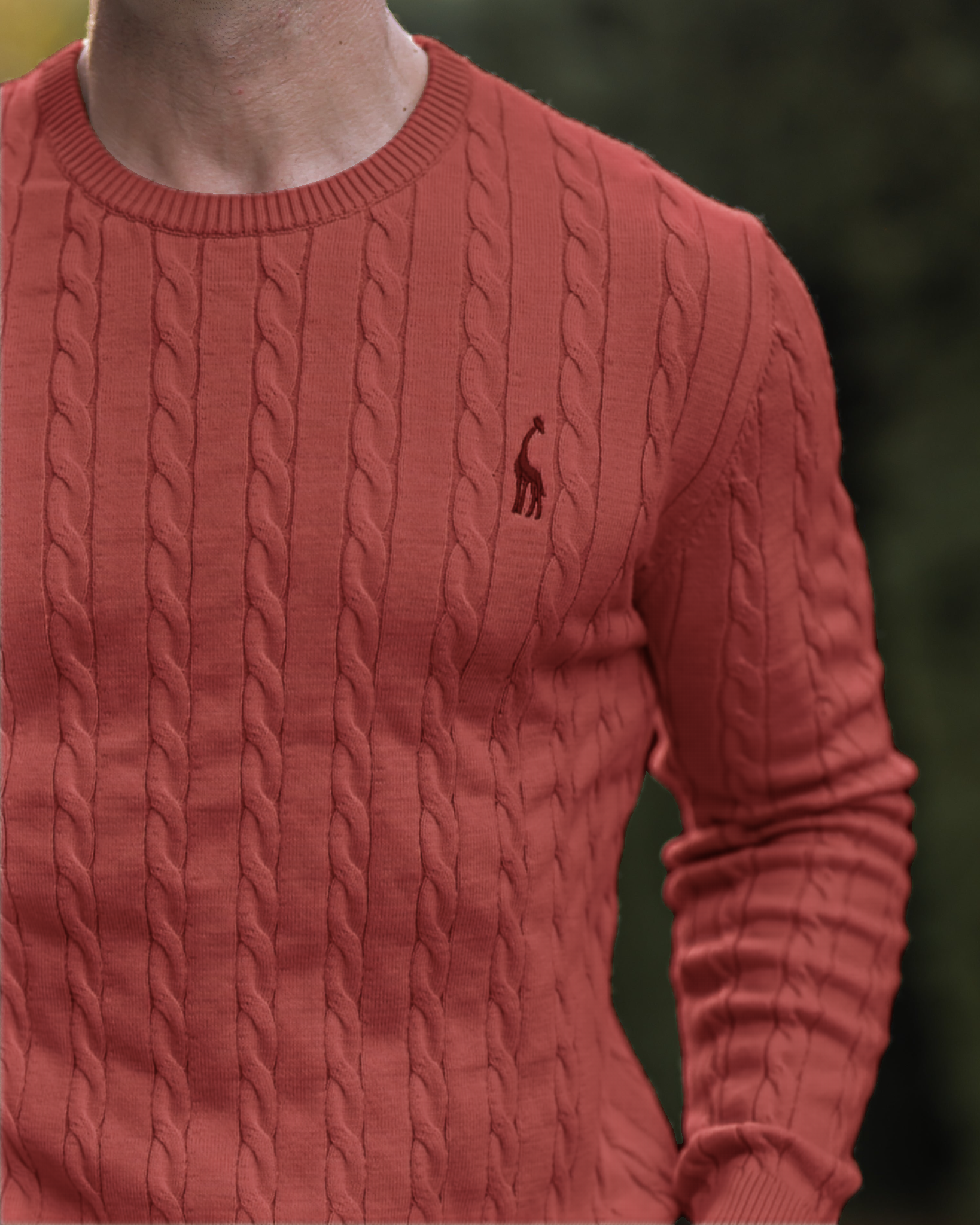 Soft Timeless Men's Cable Knit Sweater - Crewneck, Cotton