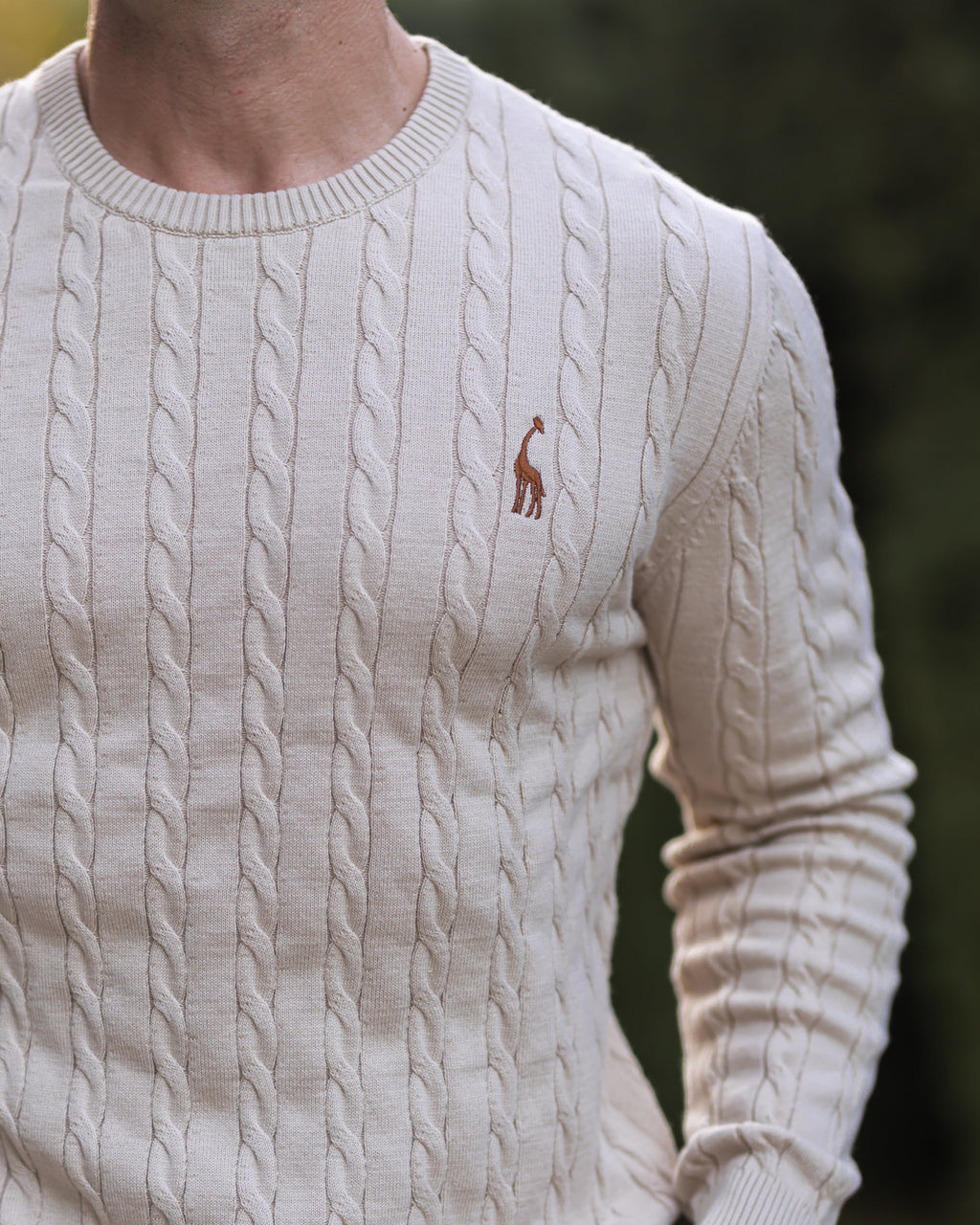 Soft Timeless Men's Cable Knit Sweater - Crewneck, Cotton