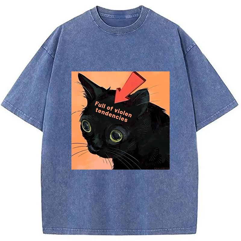bbb Full of Violen Tendencies Washed T-Shirt