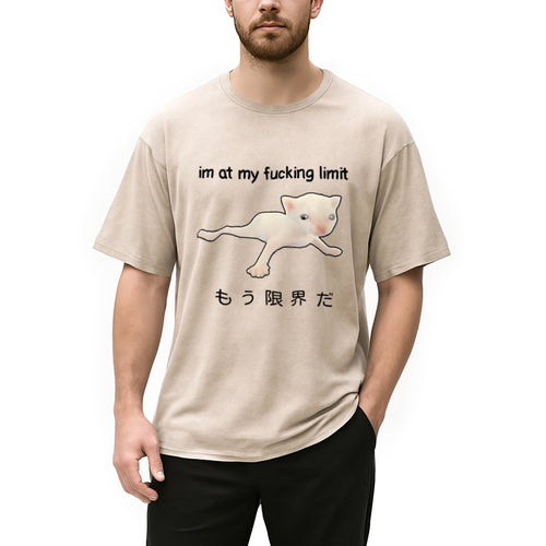 Cat Reaching Its Limit Washed T-Shirt