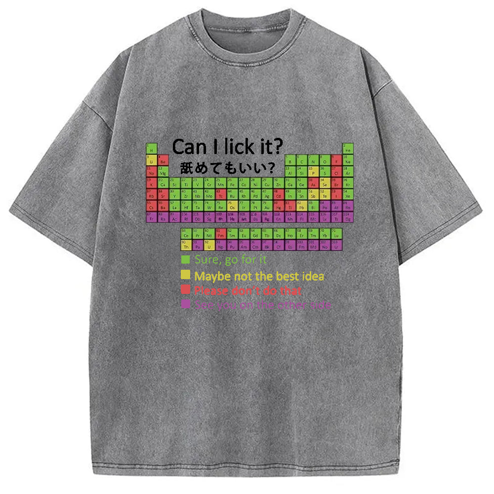 bbb Can I Lick It Washed T-Shirt