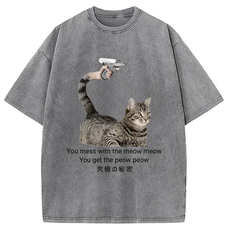 bbb Cat's Secret Weapon Washed T-Shirt