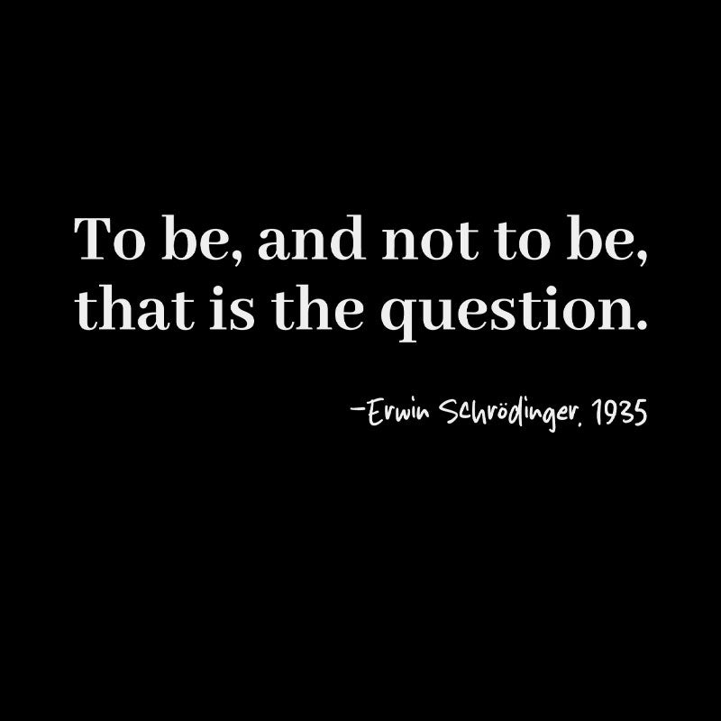 Schrödinger's Question  T-Shirt