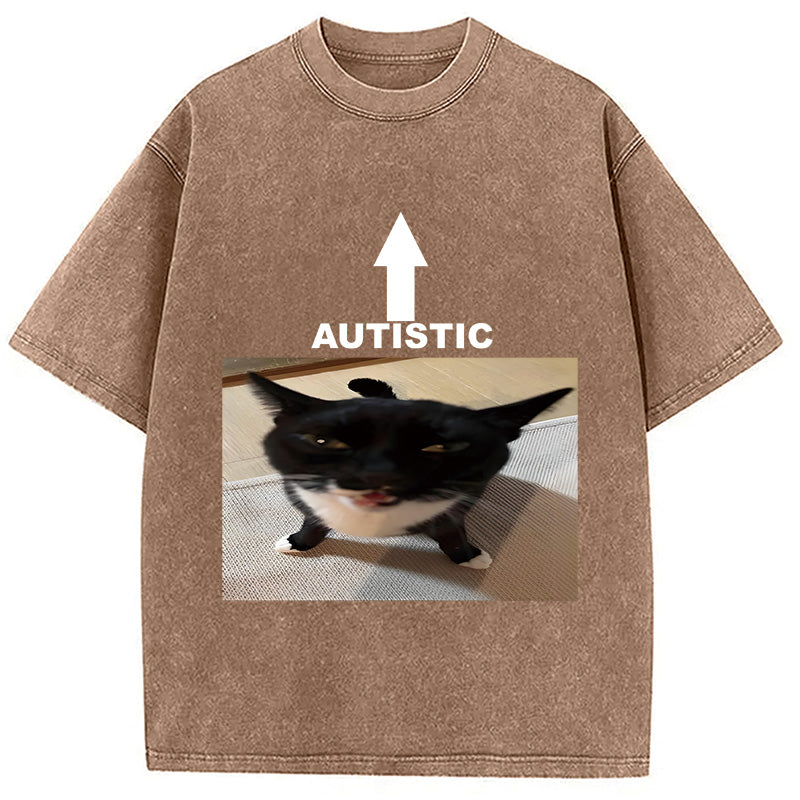 bbb Autistic Cat Washed T-Shirt
