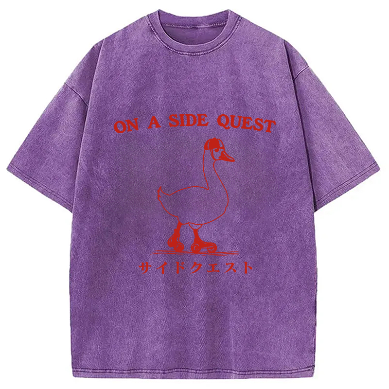 bbb On a Side Quest Goose Washed T-Shirt