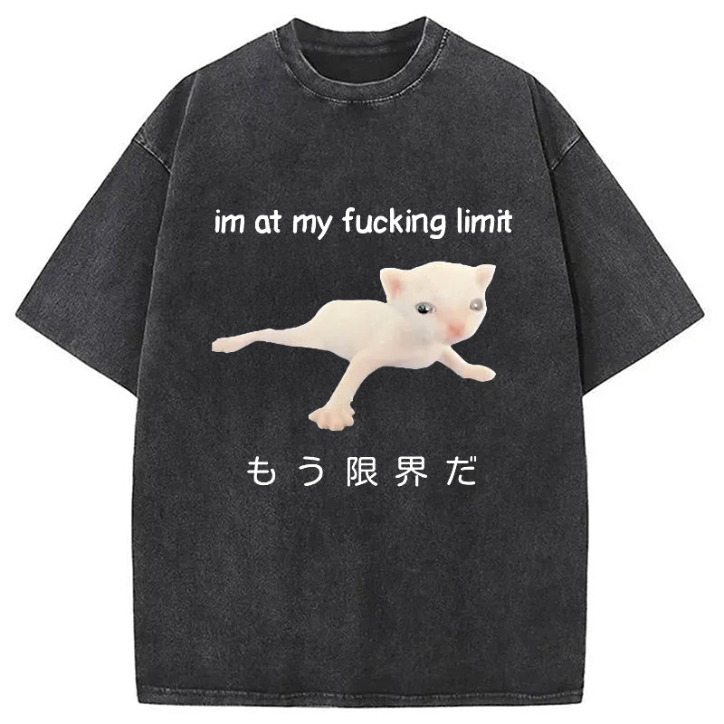 bbb Cat Reaching Its Limit Washed T-Shirt