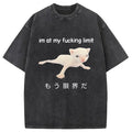 bbb Cat Reaching Its Limit Washed T-Shirt