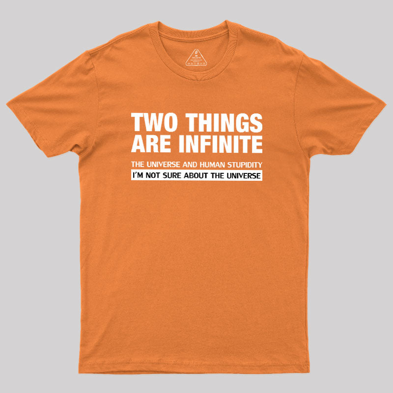 Infinite Stupidity  T-Shirt