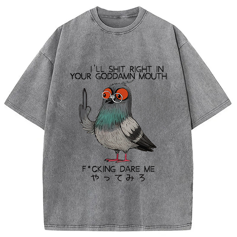 bbb Angry Pigeon Washed T-Shirt