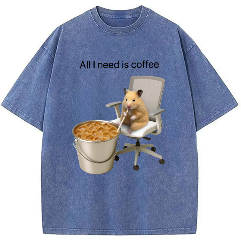 bbb All I Need Is Coffee Meme Washed T-Shirt