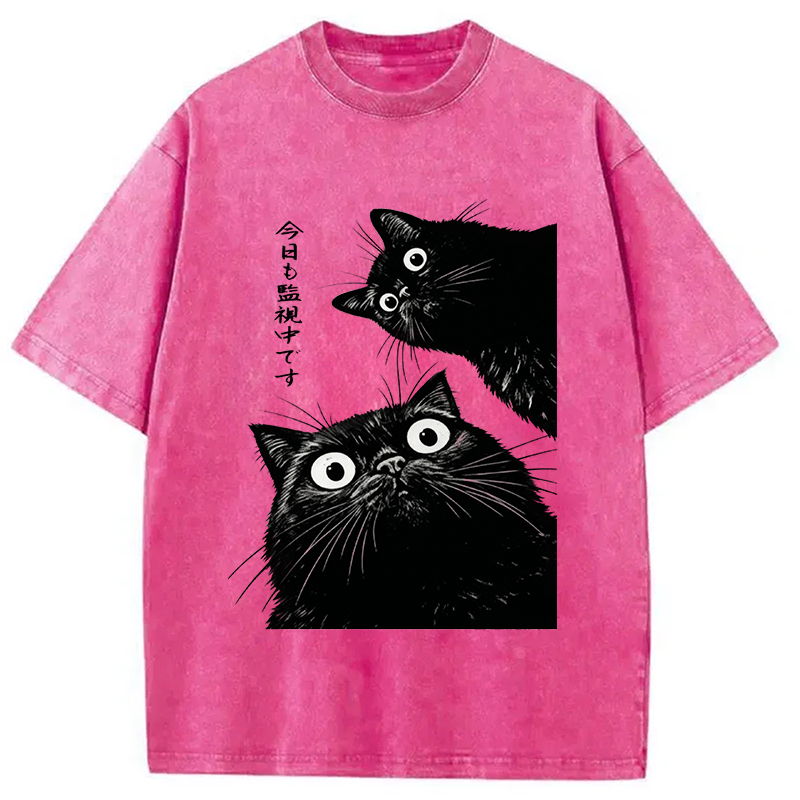 bbb The Cat Is Watching Today Washed T-Shirt