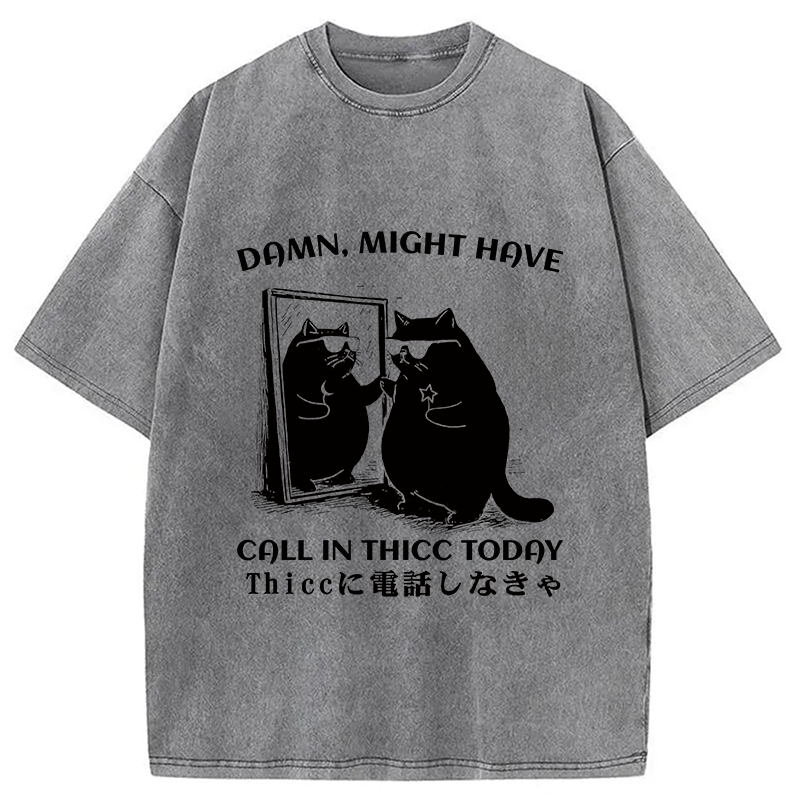 bbb Black Cat Admiring Himself Washed T-Shirt