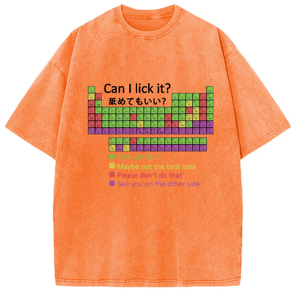 bbb Can I Lick It Washed T-Shirt