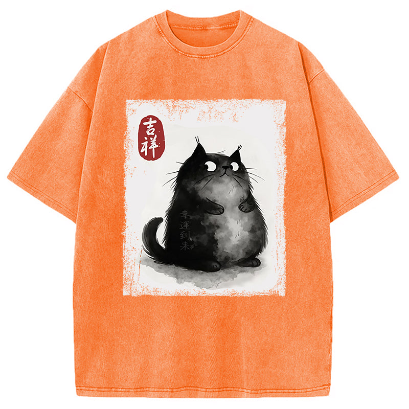 bbb Auspicious Fluffy Black Cat Washed T-Shirt