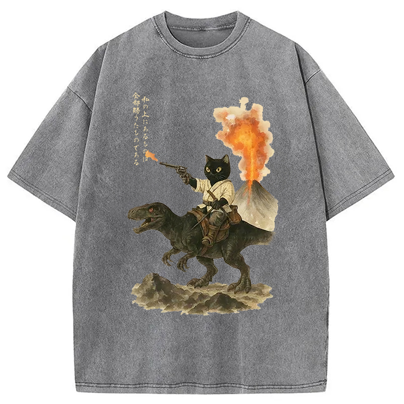 bbb Cat Riding A Dinosaur Washed T-Shirt