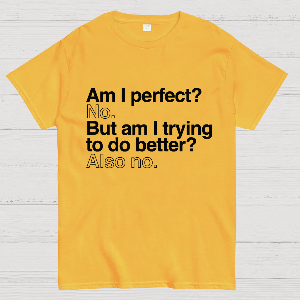 Am I Perfect No Nerdy T-Shirt