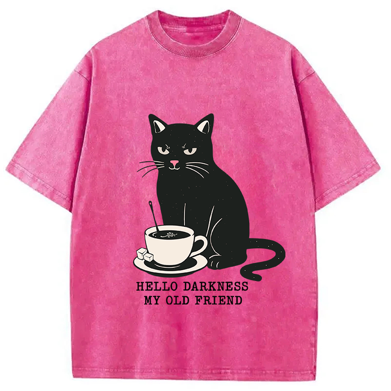 bbb My Old Friend Washed T-Shirt