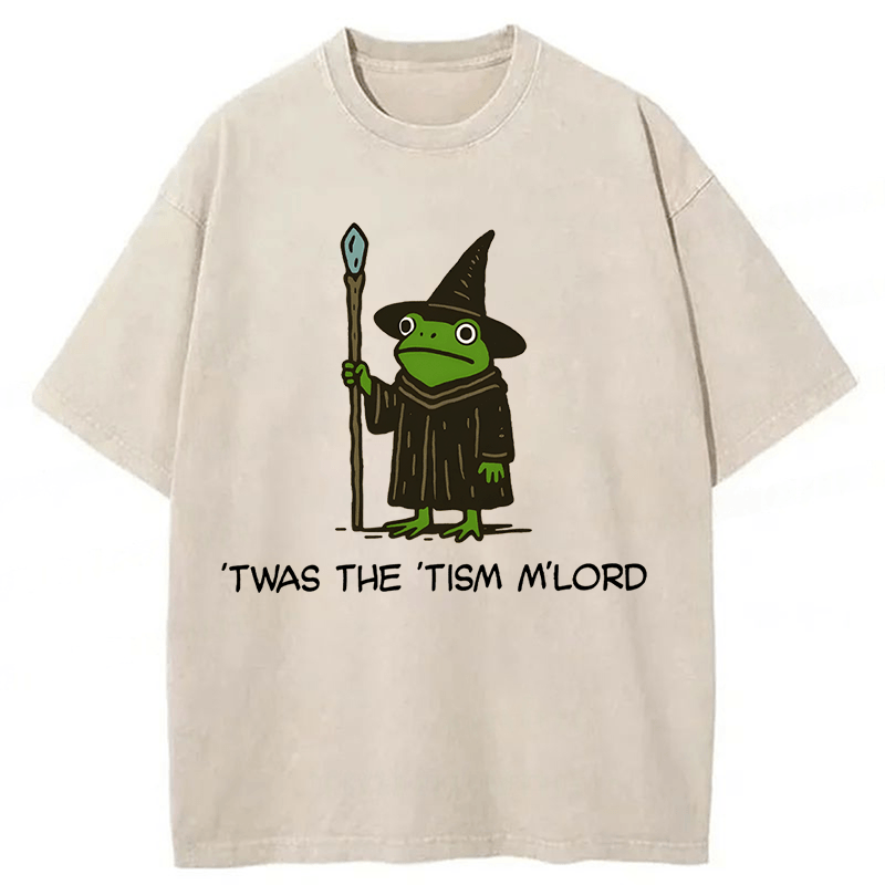 bbb Twas The Tism Frog Wizard Washed T-shirt