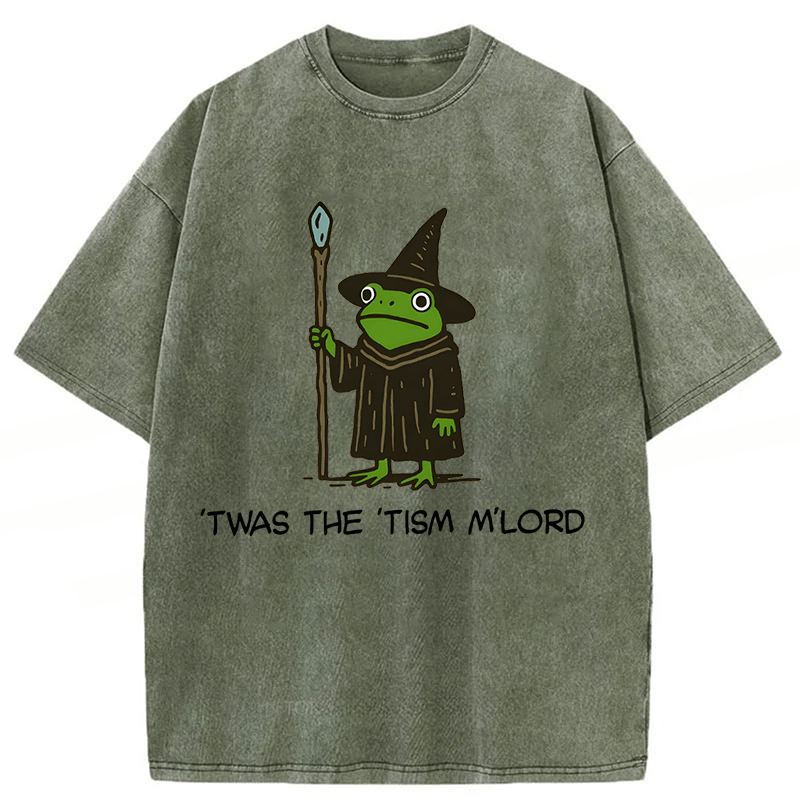 bbb Twas The Tism Frog Wizard Washed T-shirt