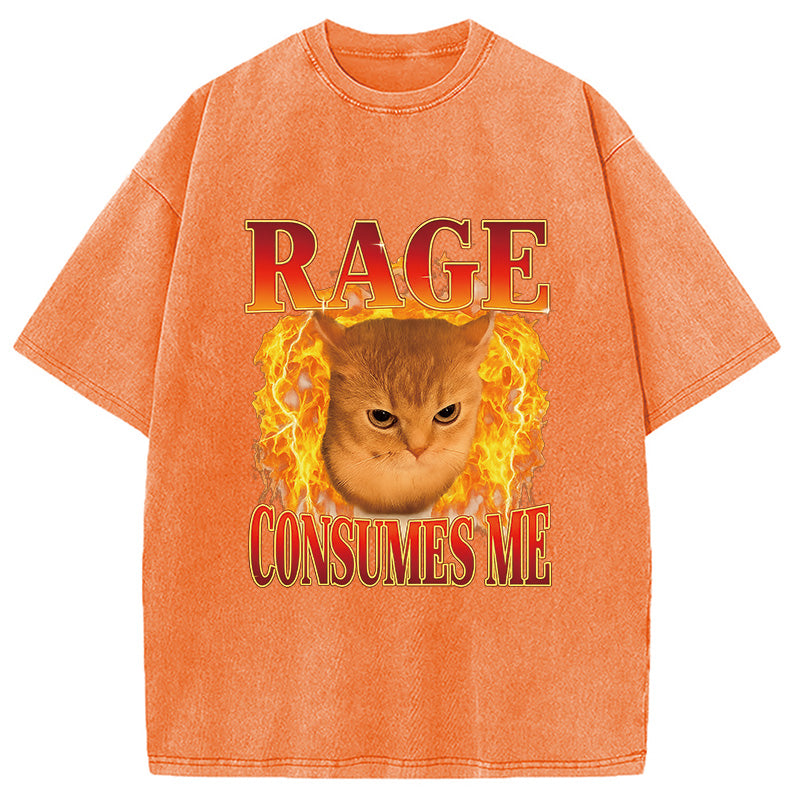 bbb Rage Consumes Me Edgy Funny Cat Meme Washed T-Shirt
