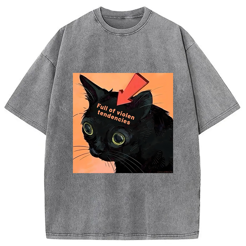 bbb Full of Violen Tendencies Washed T-Shirt
