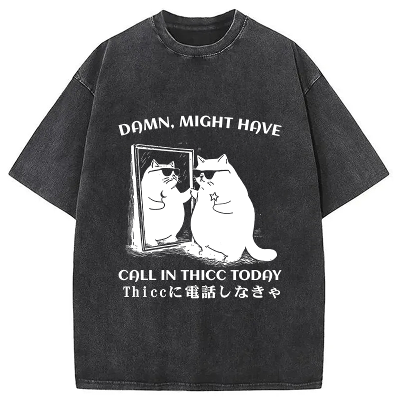bbb Black Cat Admiring Himself Washed T-Shirt