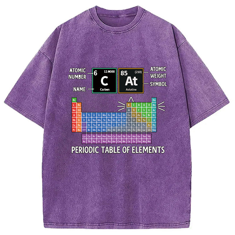 bbb Cat Periodic Table Chemistry Washed T-Shirt