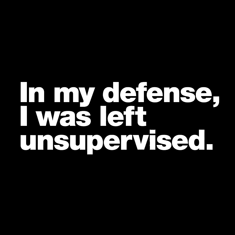 In My Defense, I Was Left Unsupervised.y T-Shirt