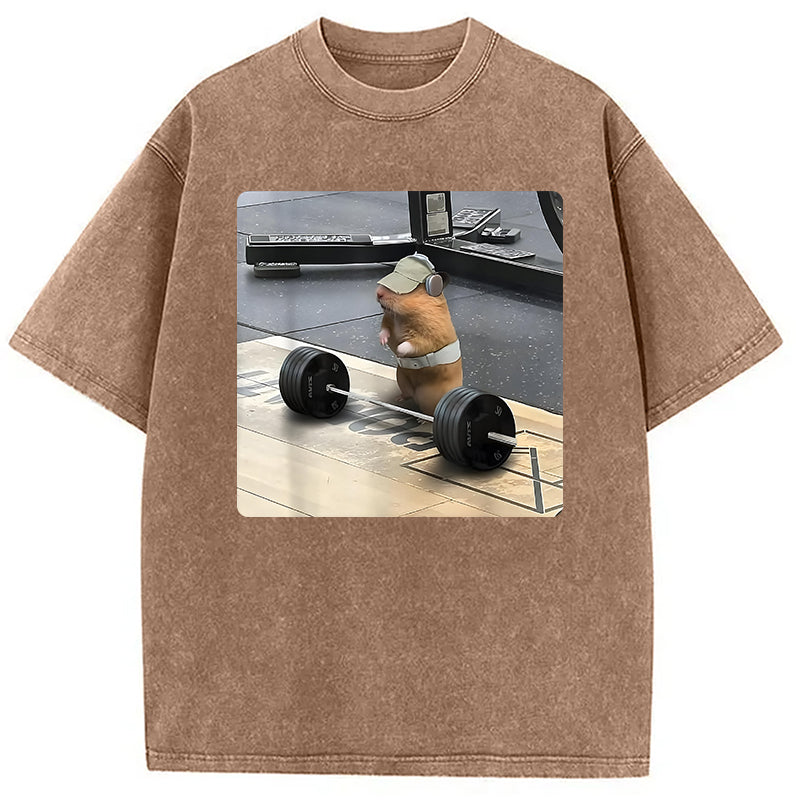 bbb Funny Cute Rat Weightlifting Meme Washed T-Shirt