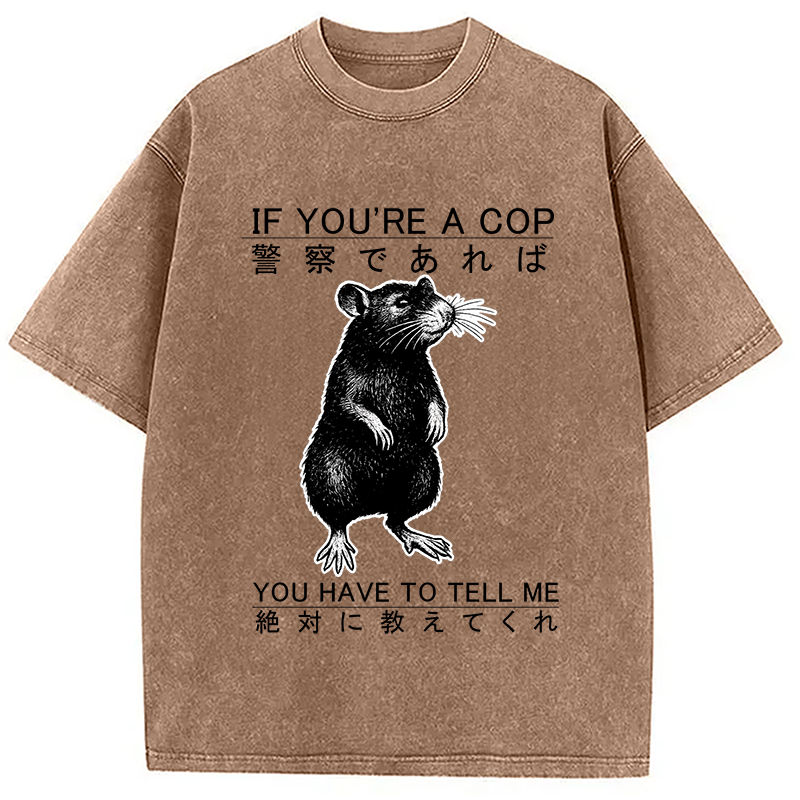 bbb If You're A Cop Japanese Rat Washed T-Shirt