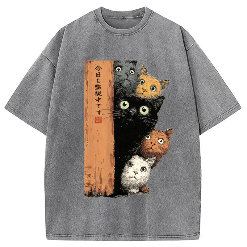 bbb Cats Are Watching You Washed T-Shirt