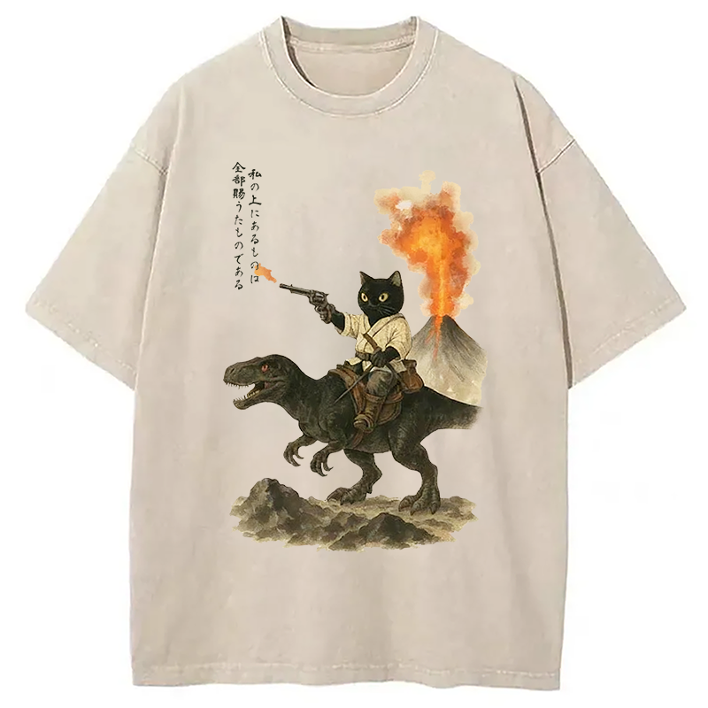 bbb Cat Riding A Dinosaur Washed T-Shirt