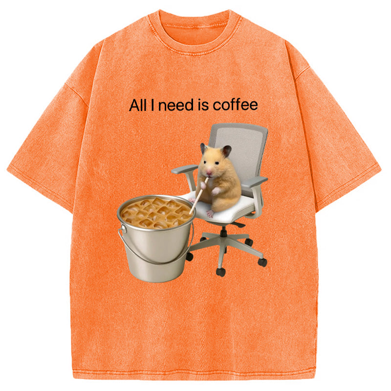 bbb All I Need Is Coffee Meme Washed T-Shirt