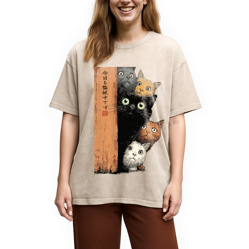 bbb Cats Are Watching You Washed T-Shirt
