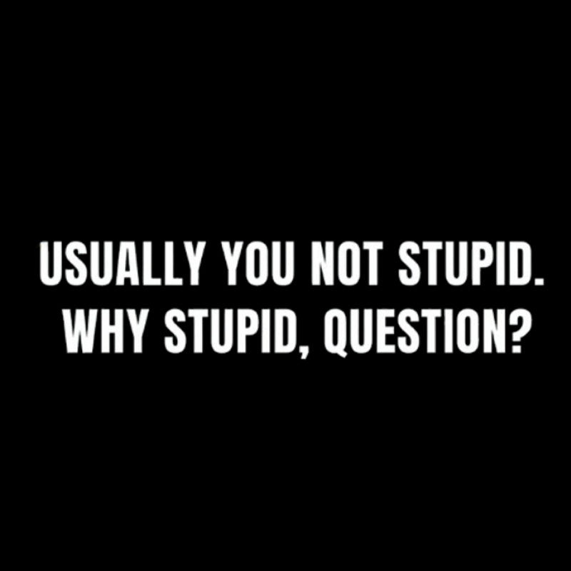 Why Stupid  T-Shirt