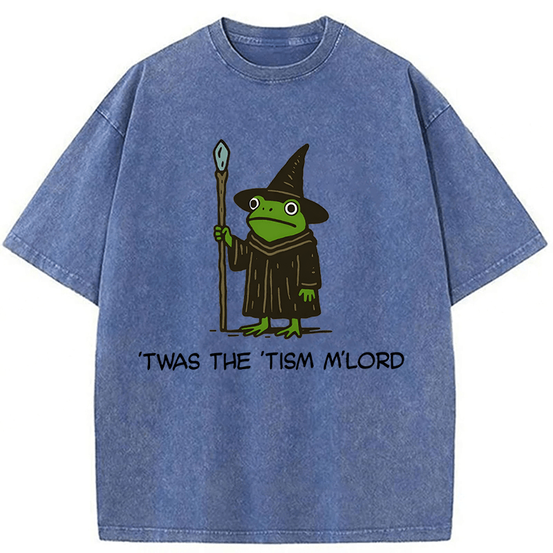 bbb Twas The Tism Frog Wizard Washed T-shirt