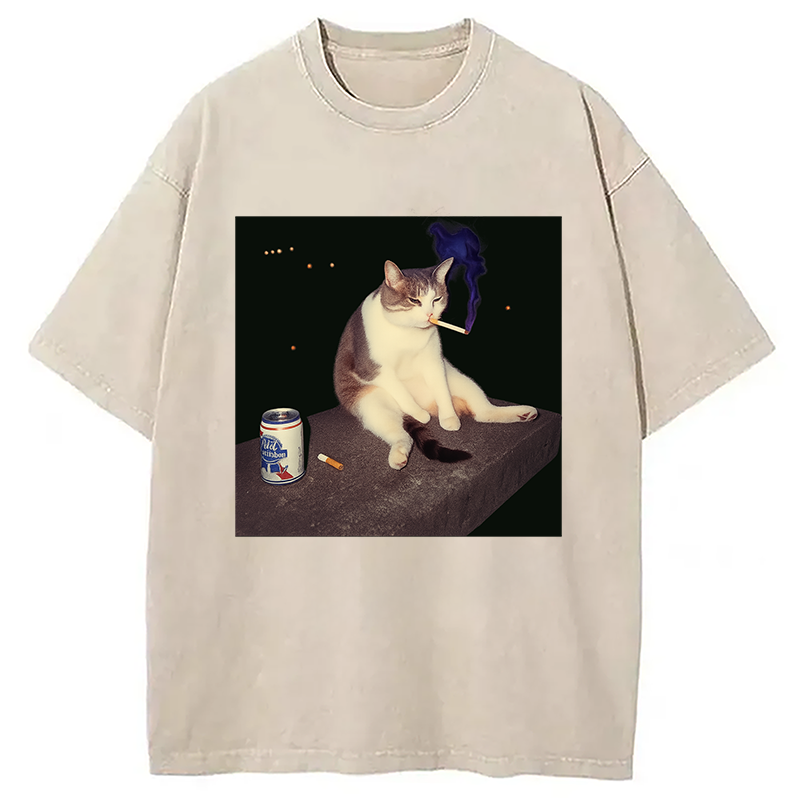 bbb Cigarette Kitten Funny Smoking Cat Meme Washed T-Shirt