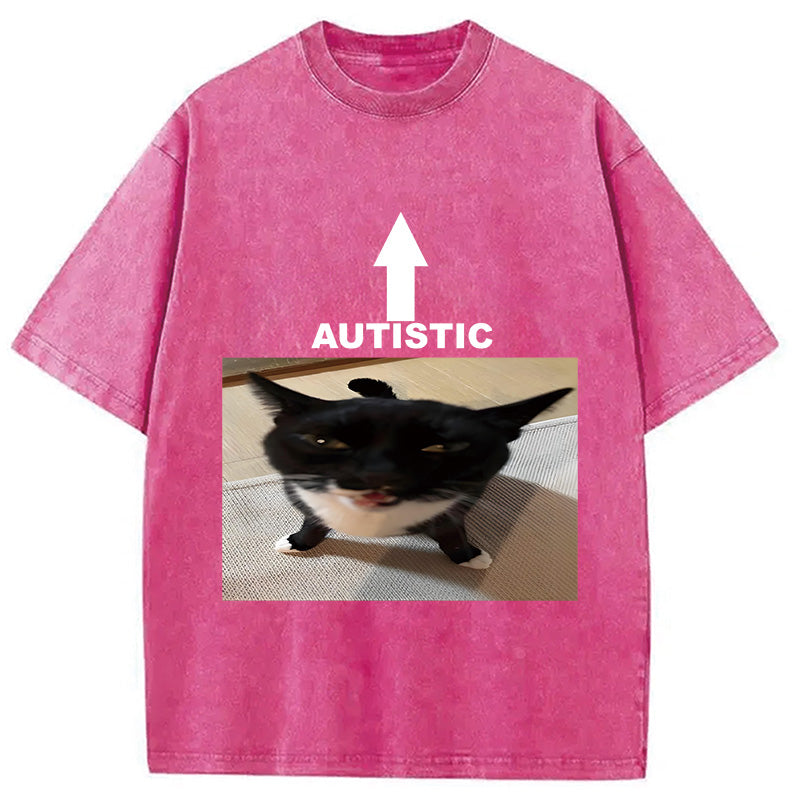 bbb Autistic Cat Washed T-Shirt