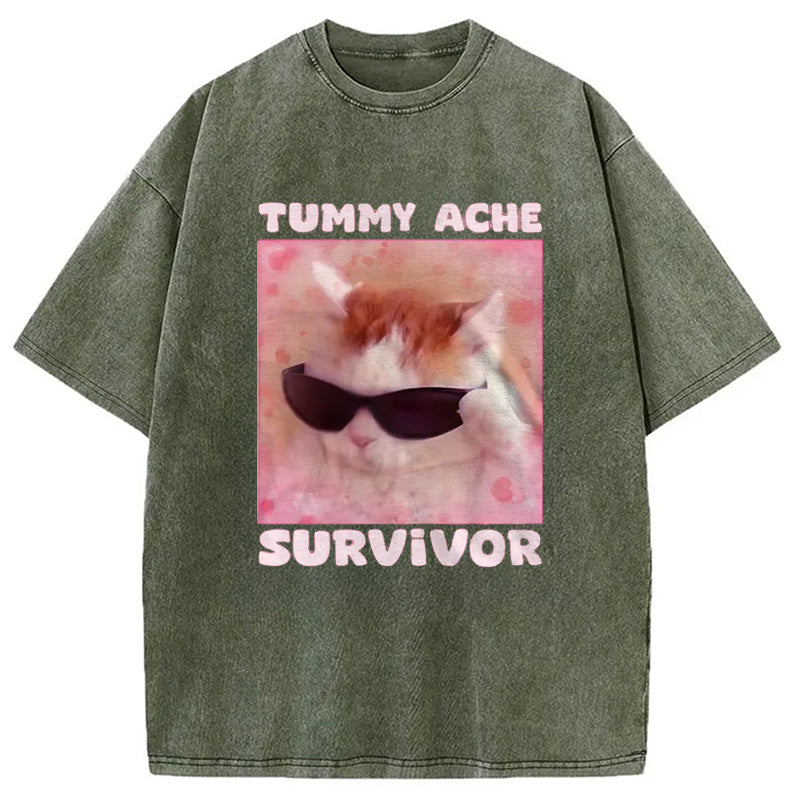 bbb Tummy Ache Survivor Funny Cat Meme Washed T-Shirt