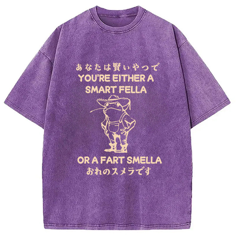 bbb Are You A Smart Fella Or Fart Smella Washed T-Shirt