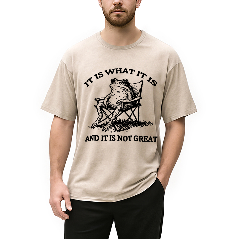 bbb Resting Frog Funny Washed T-Shirt