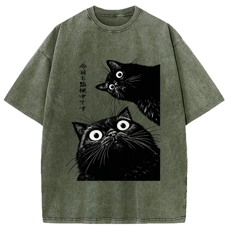 bbb The Cat Is Watching Today Washed T-Shirt