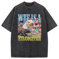 bbb Funny Eagle Meme Washed T-Shirt