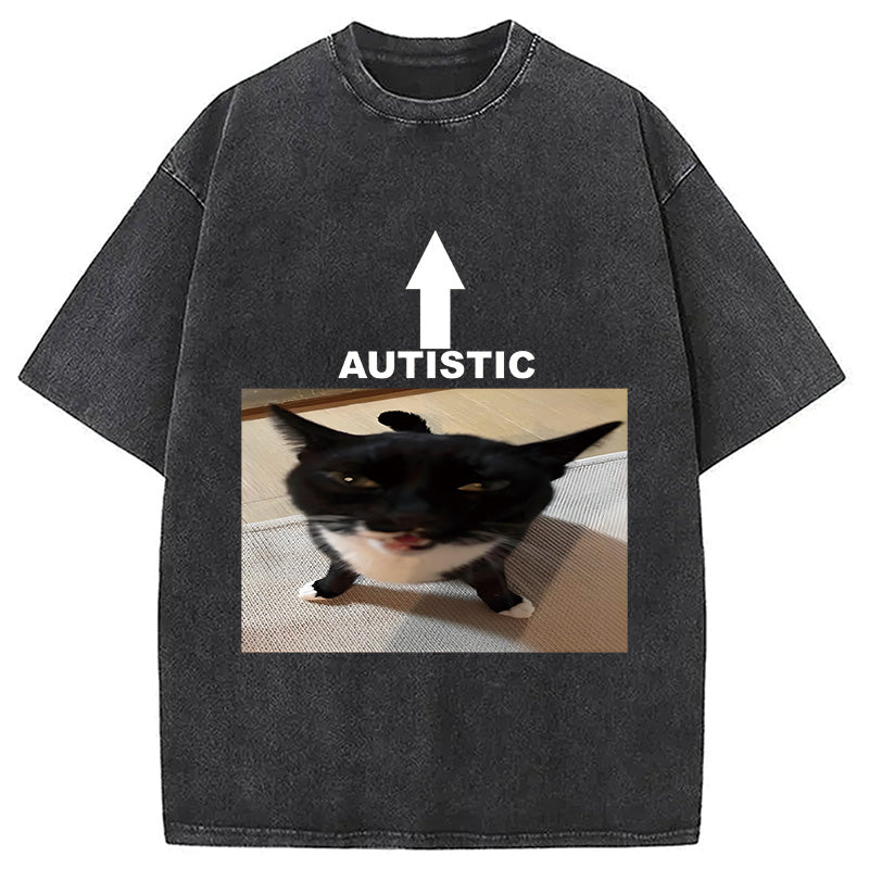 bbb Autistic Cat Washed T-Shirt