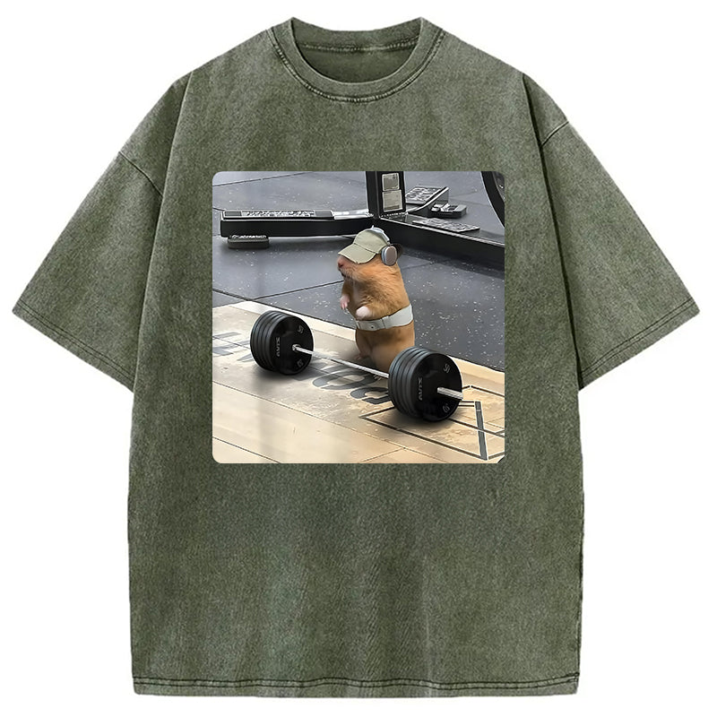 bbb Funny Cute Rat Weightlifting Meme Washed T-Shirt