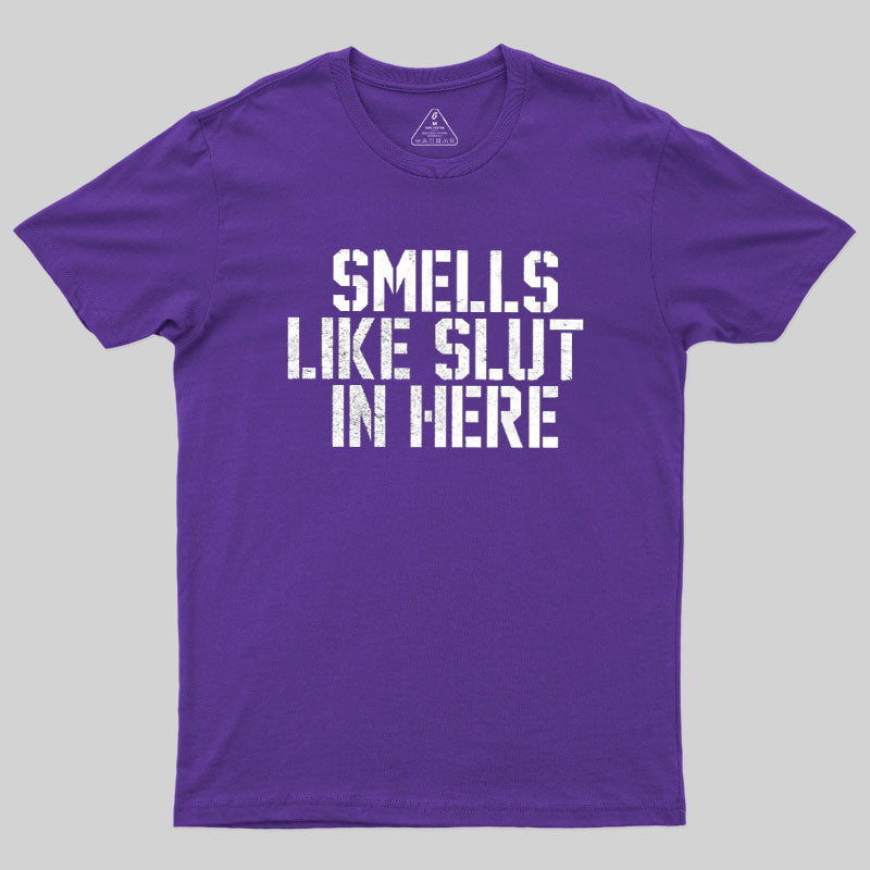 Offensive Smells Like Slut In Here  T-Shirt