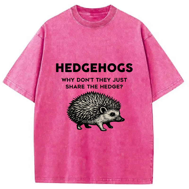 bbb Funny Hedgehog Washed T-Shirt