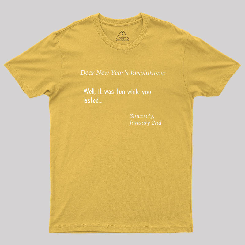 Dear New Year Resolutions  T-Shirt