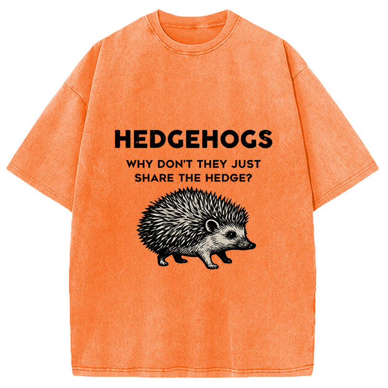 bbb Funny Hedgehog Washed T-Shirt