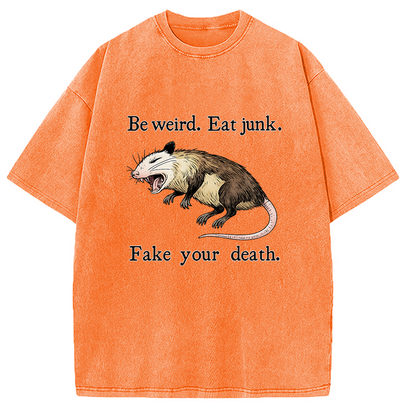 bbb Possum Playing Dead Washed T-Shirt